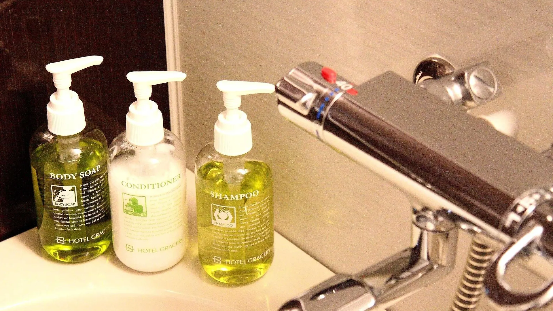 Hotel Gracery Tokyo Tamachi Япония
